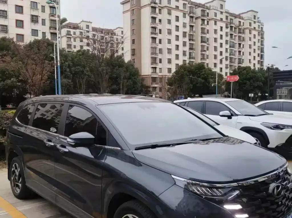 Hyundai Custo — фото 2