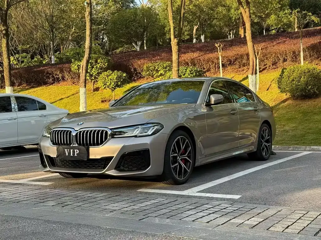 BMW 5 Series (Import) — фото 1