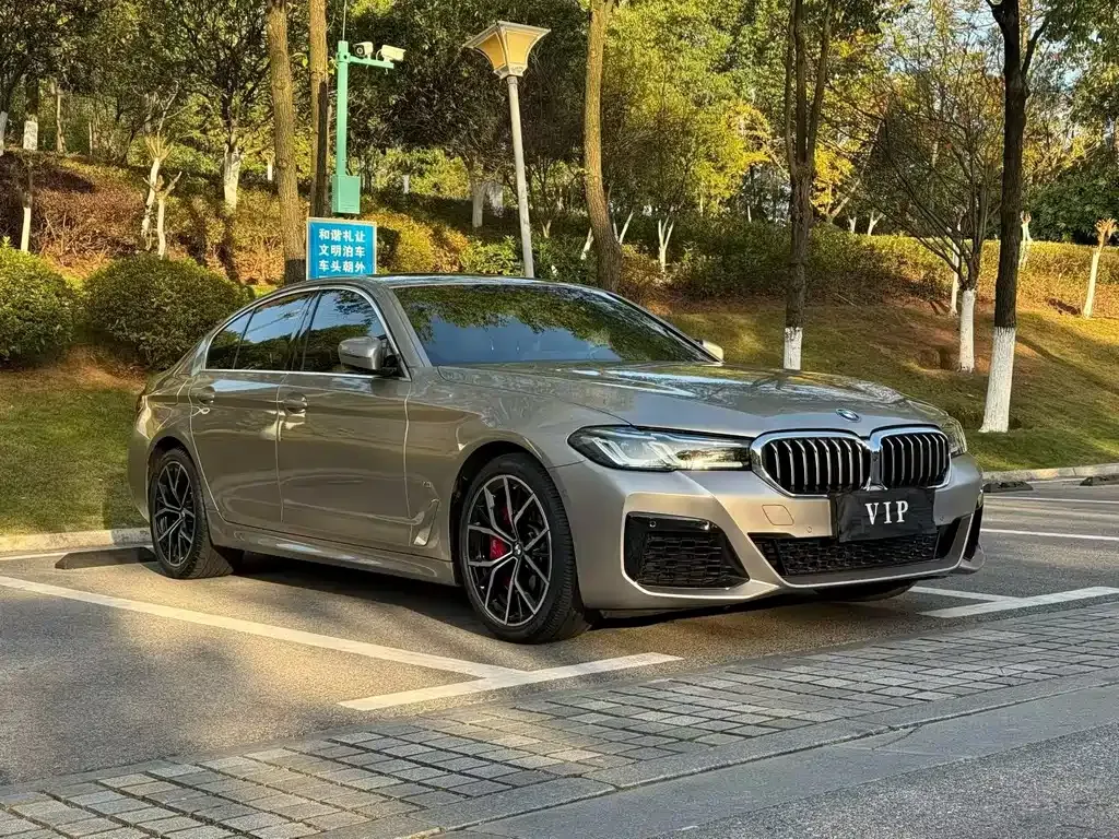 BMW 5 Series (Import) — фото 6