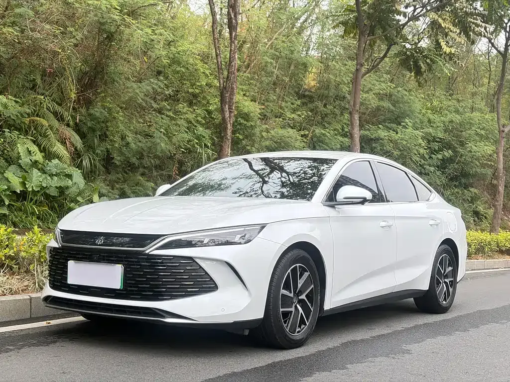 BYD Qin L — фото 1