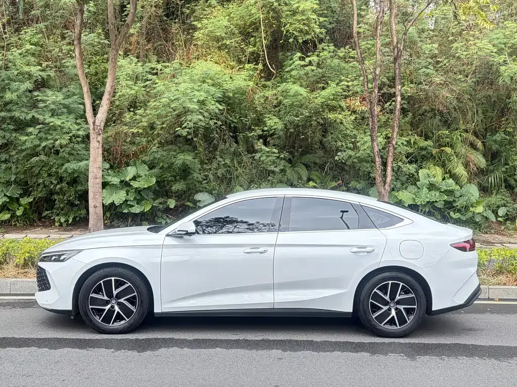 BYD Qin L — фото 7