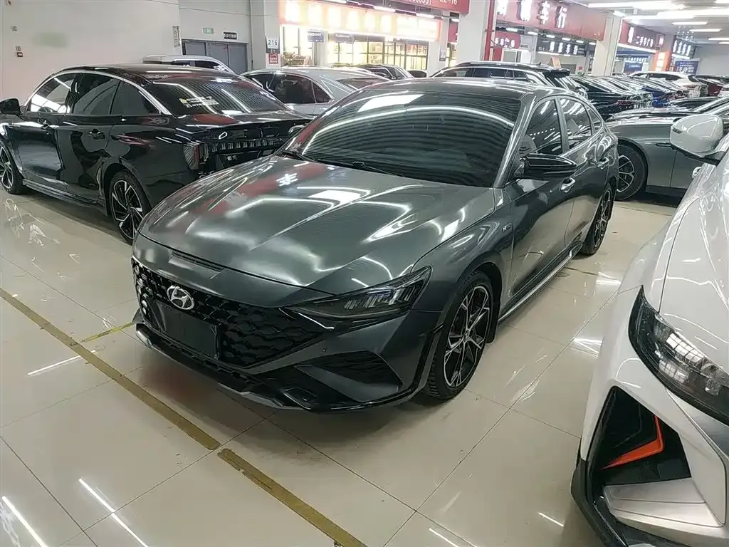 Hyundai Fista — фото 1
