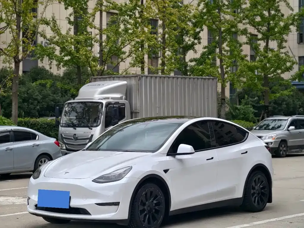 Tesla Model Y — фото 1
