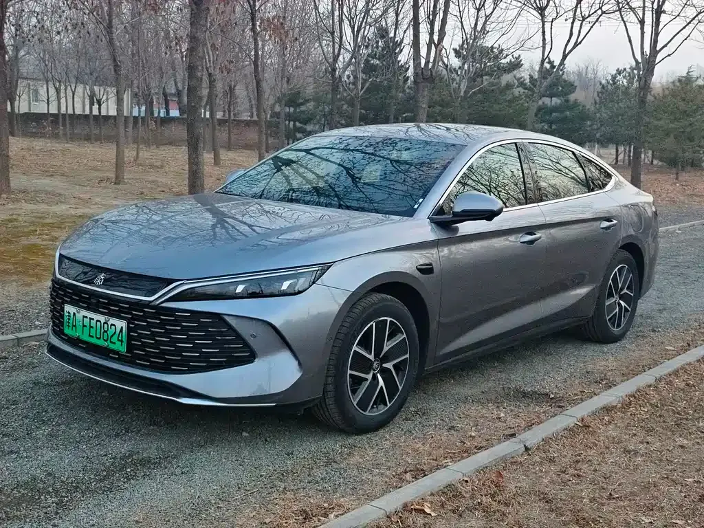 BYD Qin L — фото 1