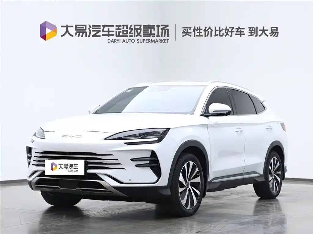 BYD PLUS New Energy — фото 1