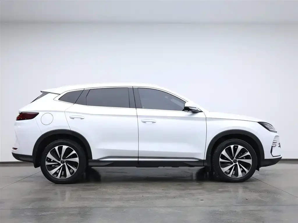 BYD PLUS New Energy — фото 4