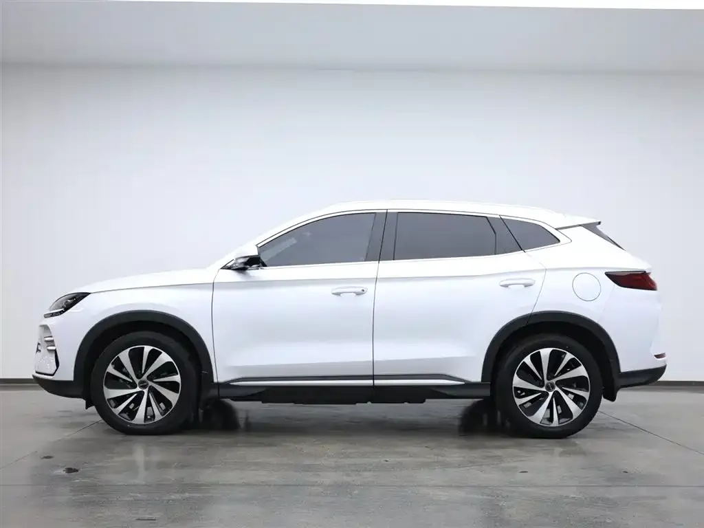 BYD PLUS New Energy — фото 3