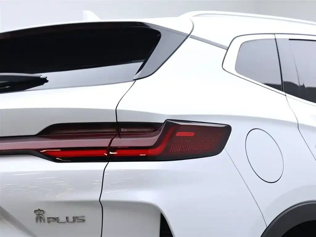 BYD PLUS New Energy — фото 8