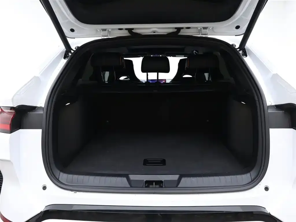 BYD PLUS New Energy — фото 10