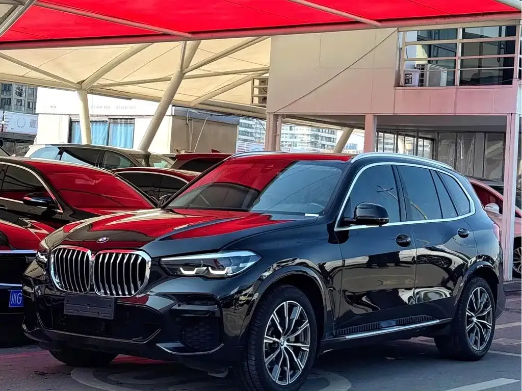 BMW X5 (Import) — фото 1