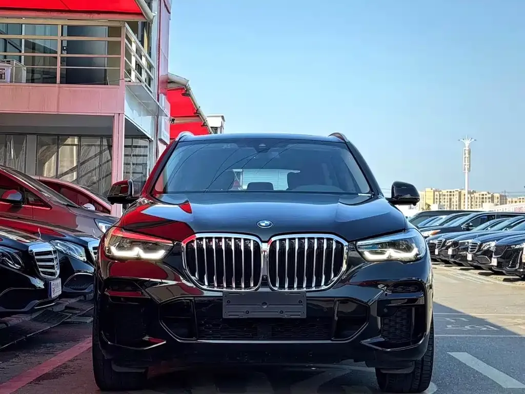 BMW X5 (Import) — фото 9