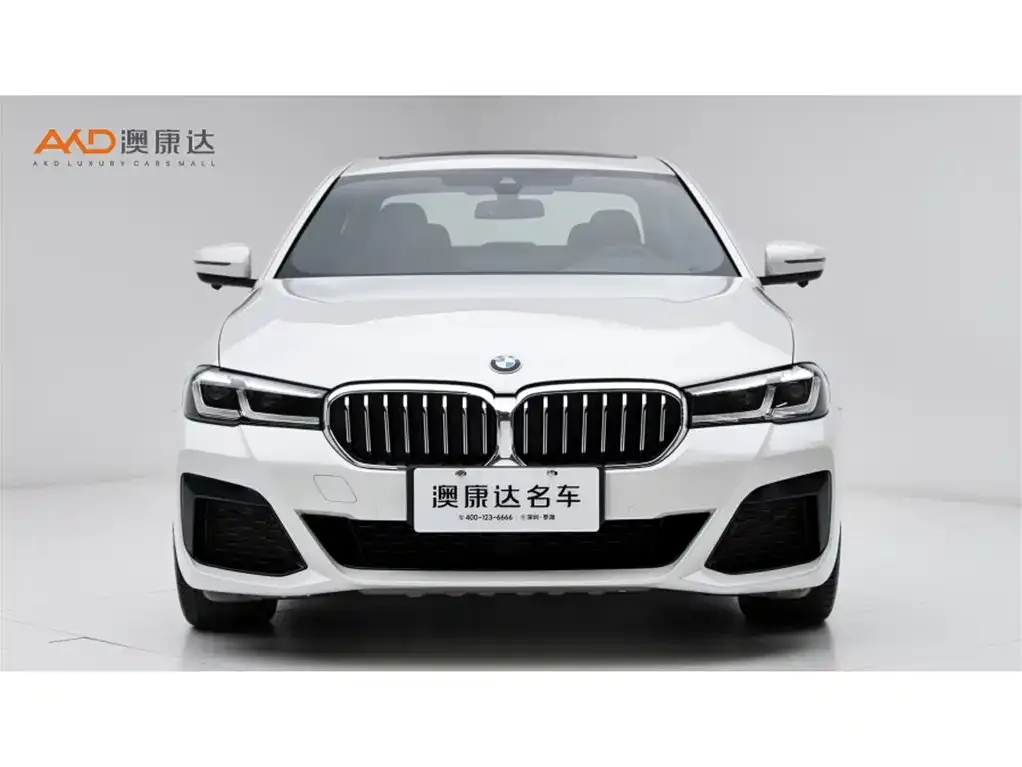 BMW 5 Series New Energy — фото 8