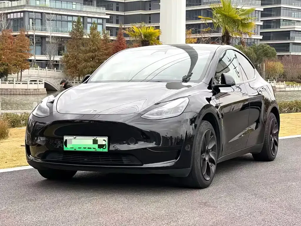 Tesla Model Y — фото 1