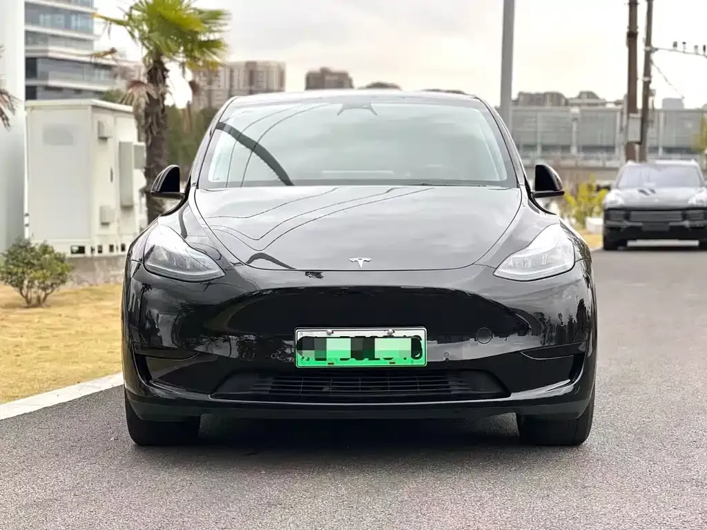 Tesla Model Y — фото 2