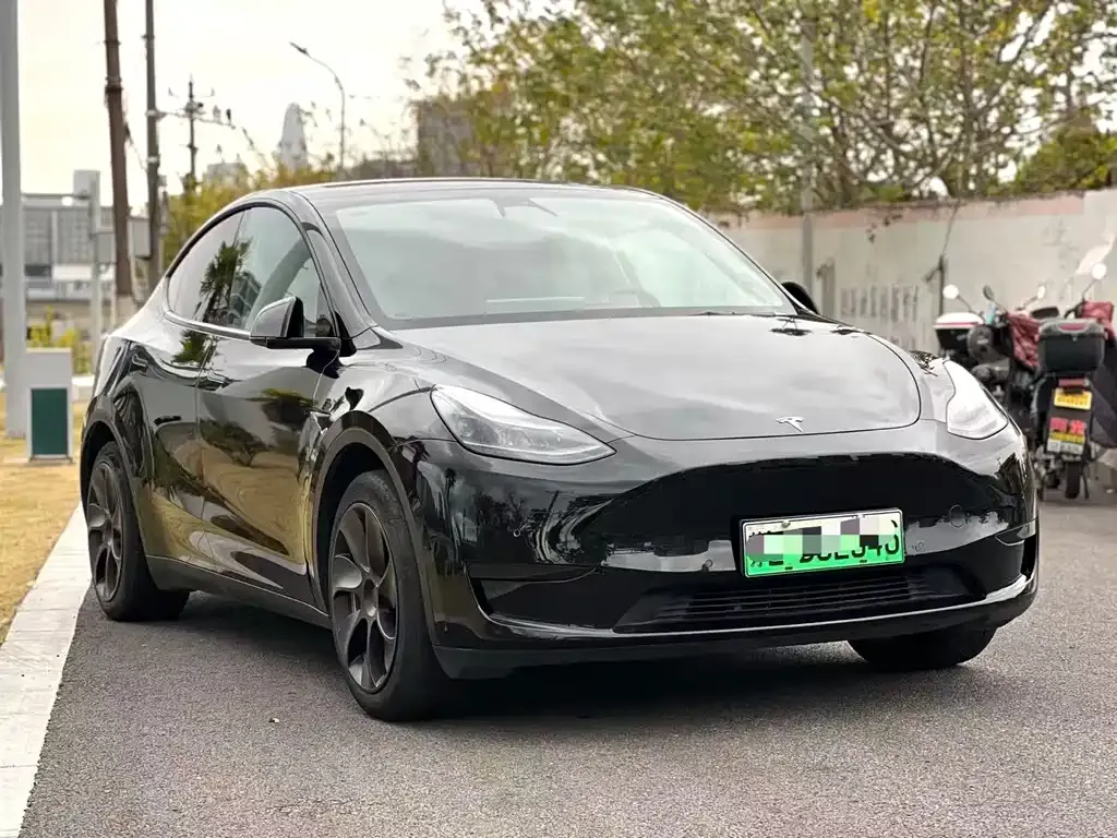 Tesla Model Y — фото 3