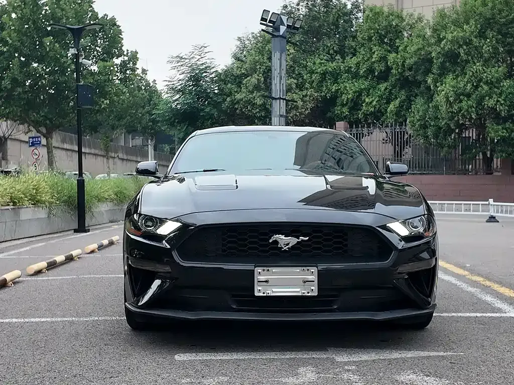 Ford Mustang — фото 1