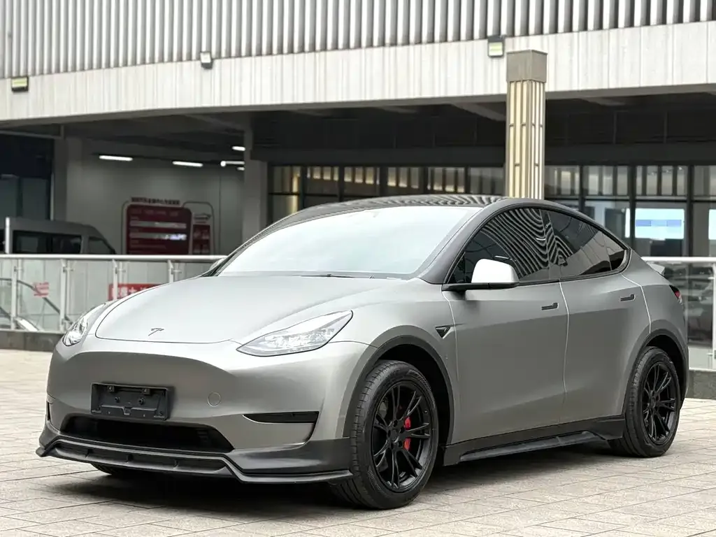 Tesla Model Y — фото 1