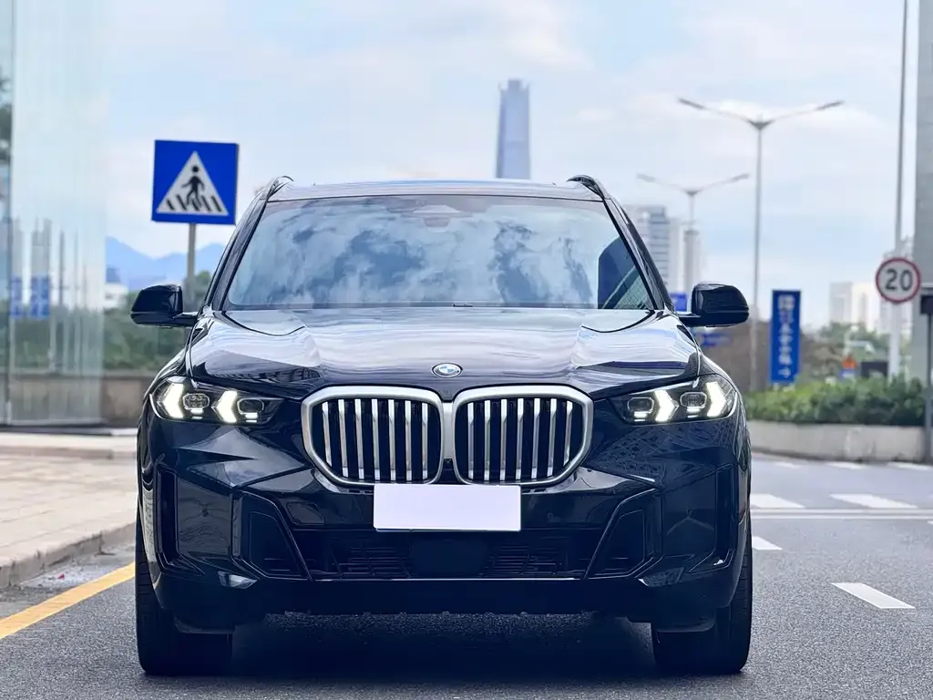BMW X5 — фото 4
