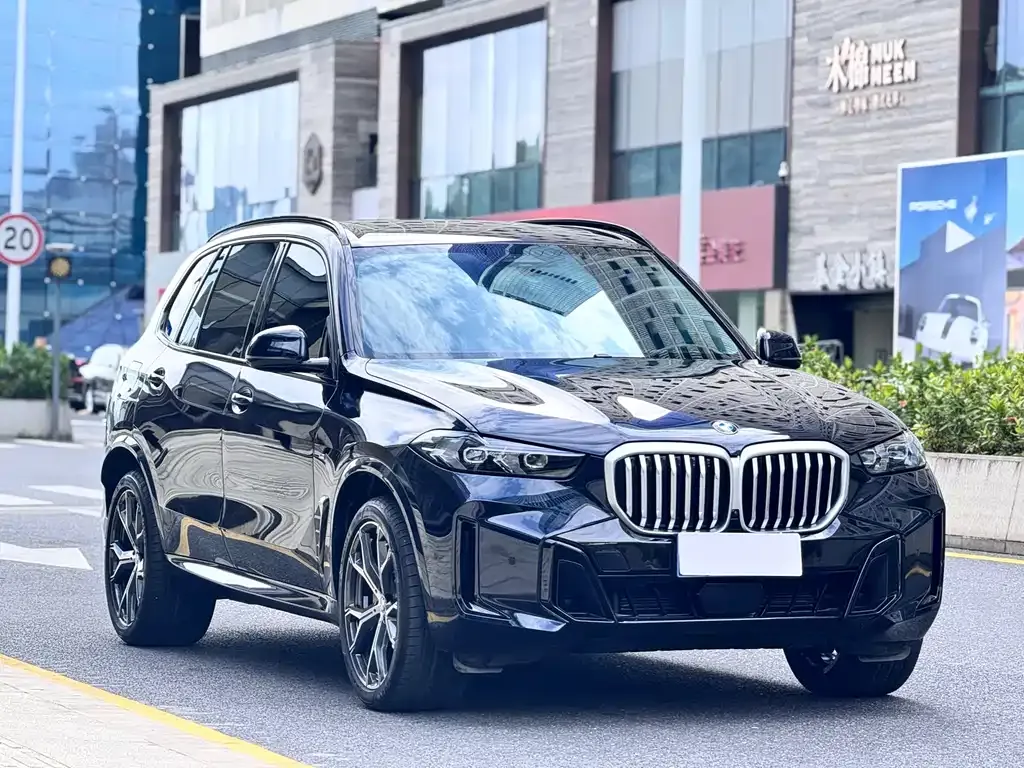 BMW X5 — фото 10