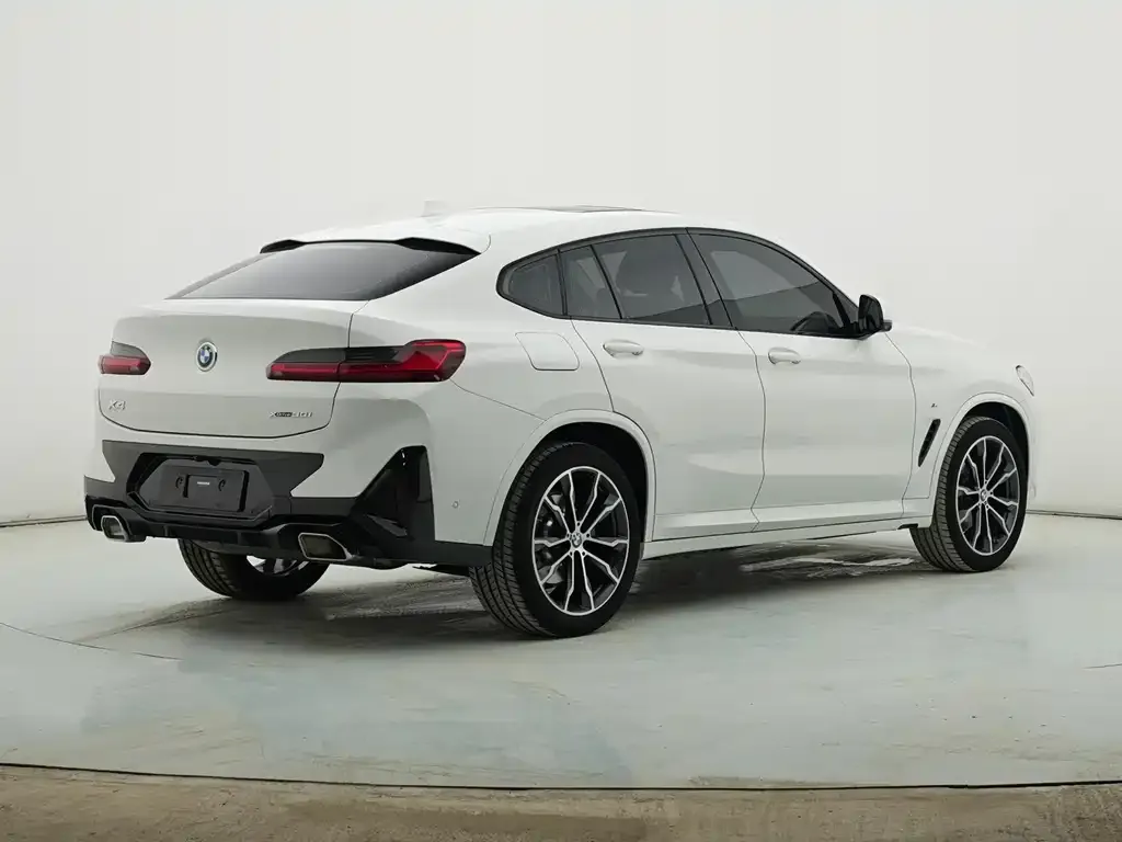 BMW X4 — фото 6