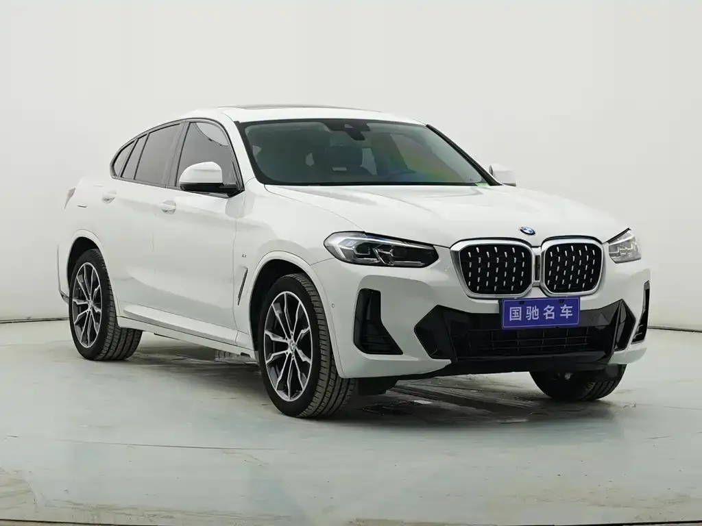 BMW X4 — фото 9
