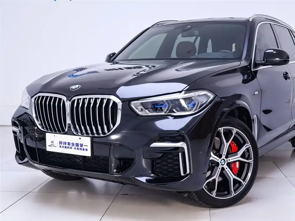 BMW X5 — фото 10