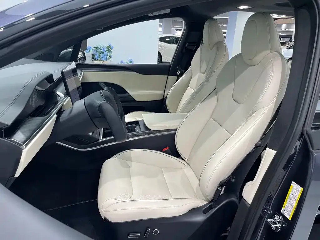 Tesla Model X — фото 10