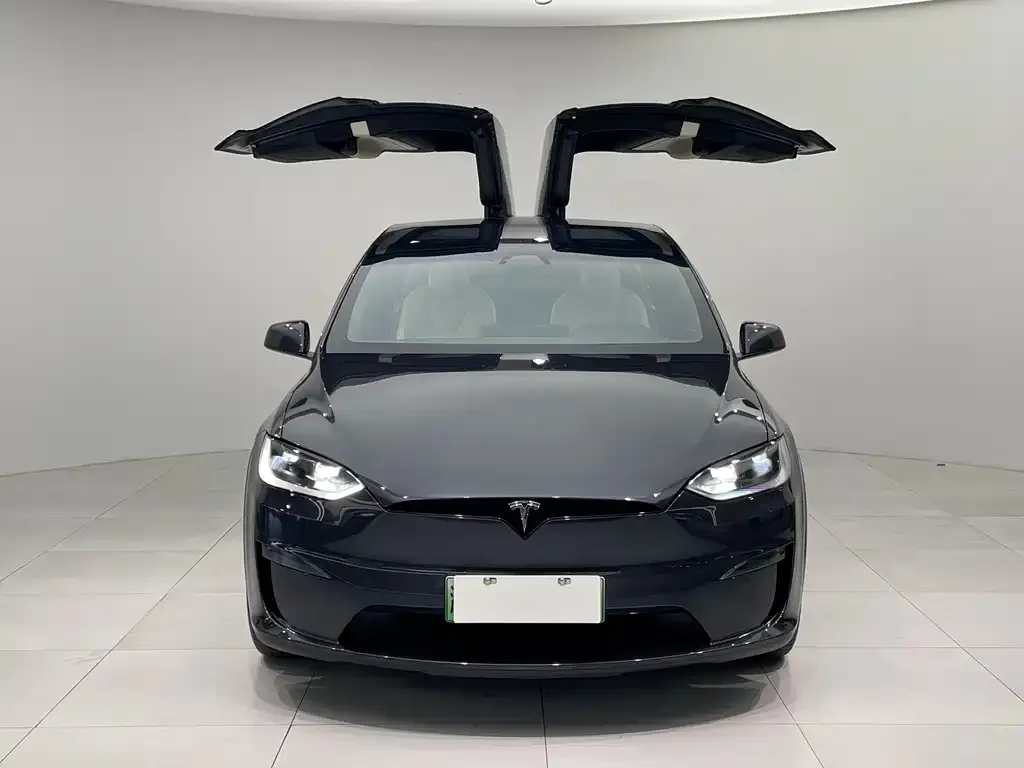 Tesla Model X — фото 2