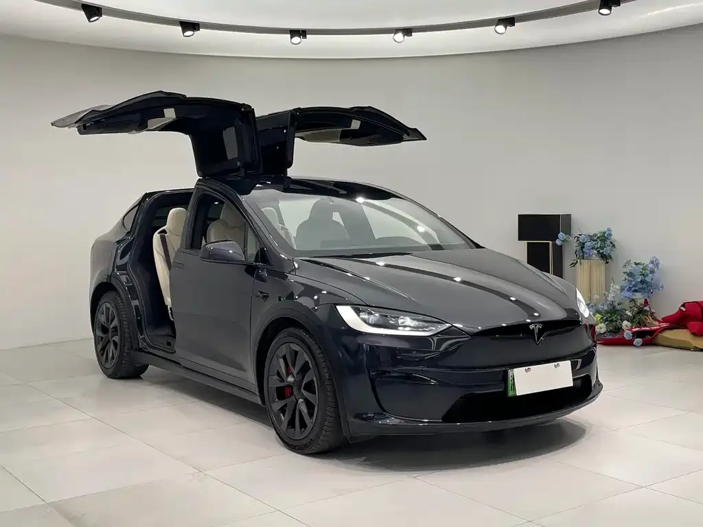 Tesla Model X — фото 8