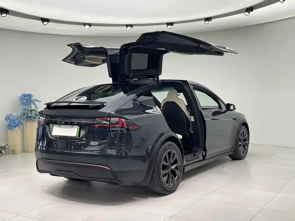 Tesla Model X — фото 4
