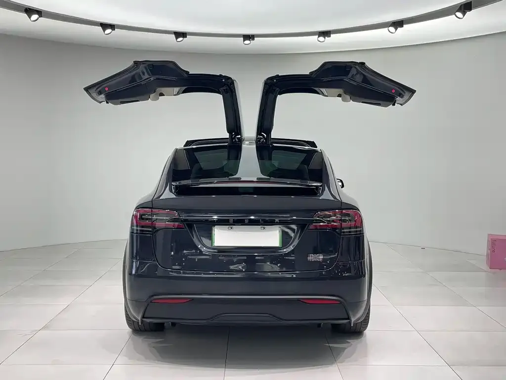 Tesla Model X — фото 3