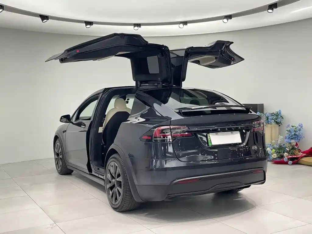 Tesla Model X — фото 5