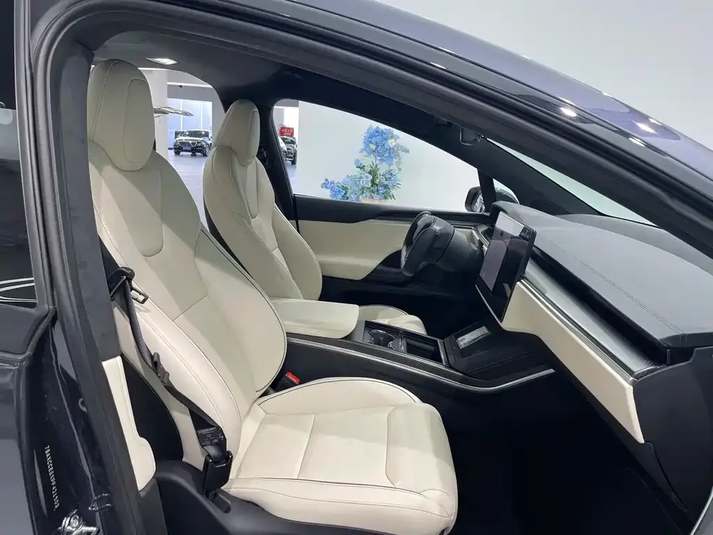 Tesla Model X — фото 6