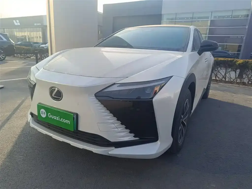 Lexus RZ — фото 10