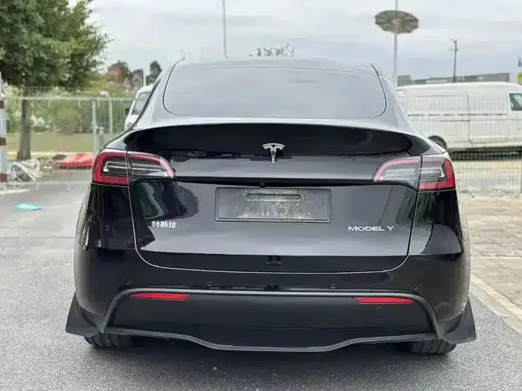 Tesla Model Y — фото 2
