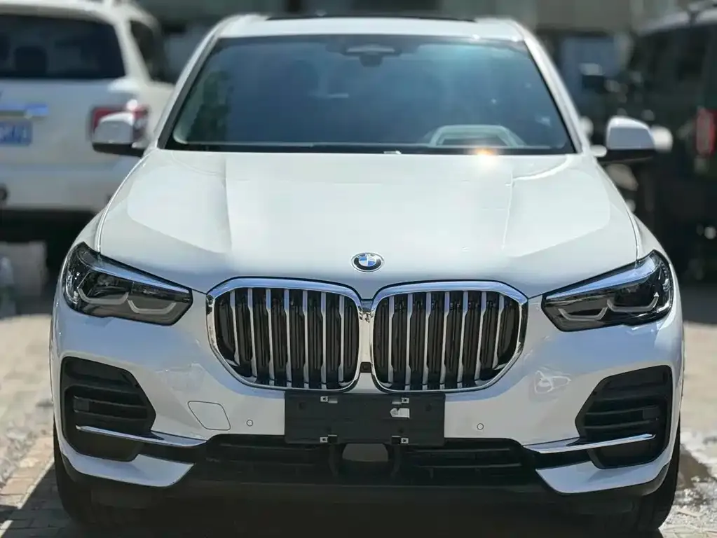 BMW X5 (Import) — фото 2