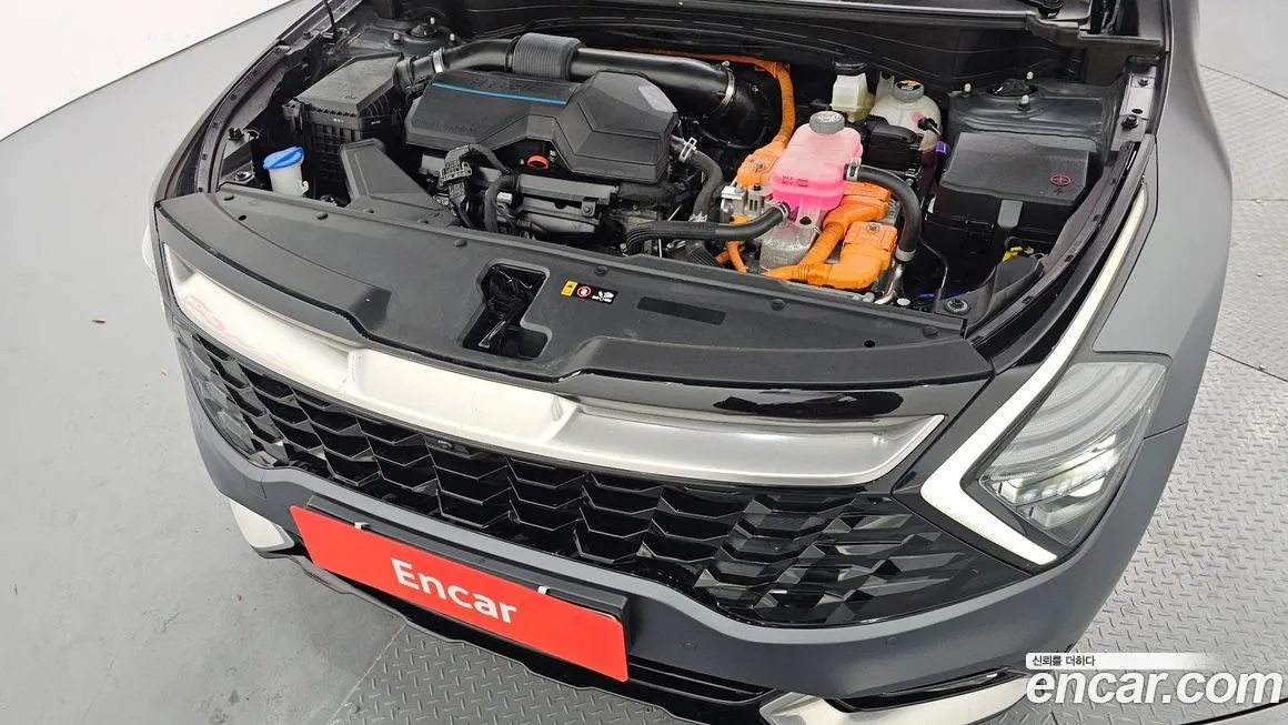 Kia Sportage — фото 6