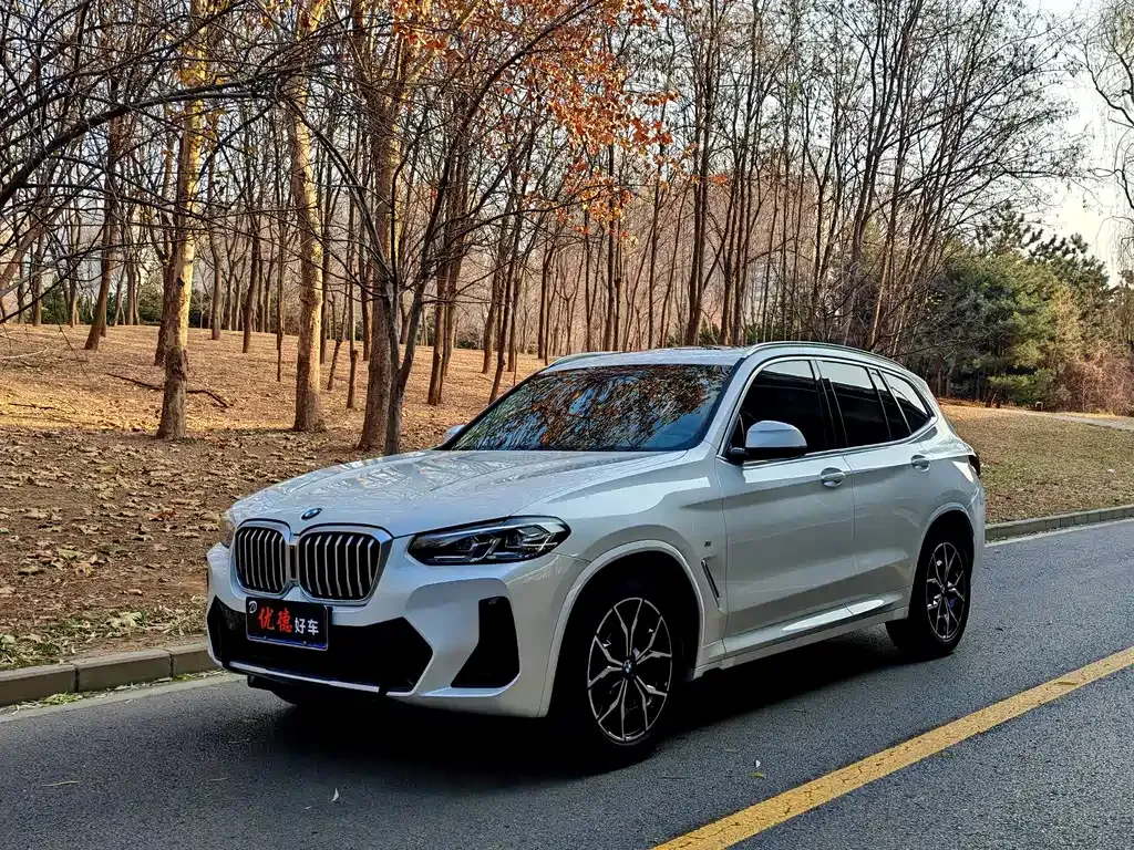 BMW X3 — фото 1