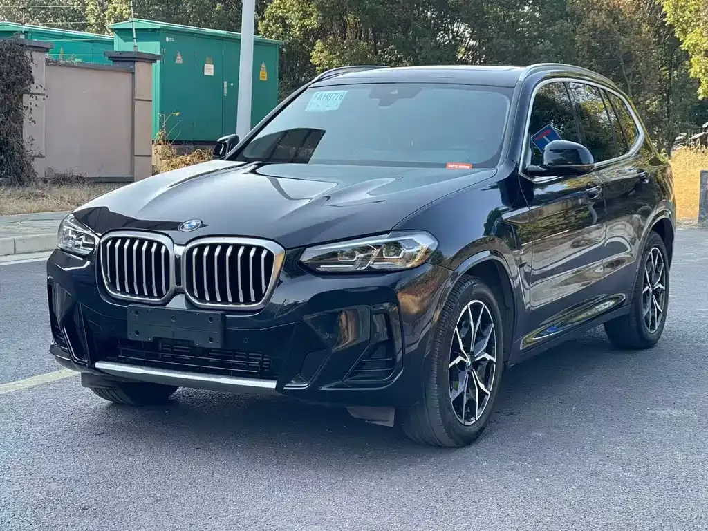 BMW X3 — фото 1