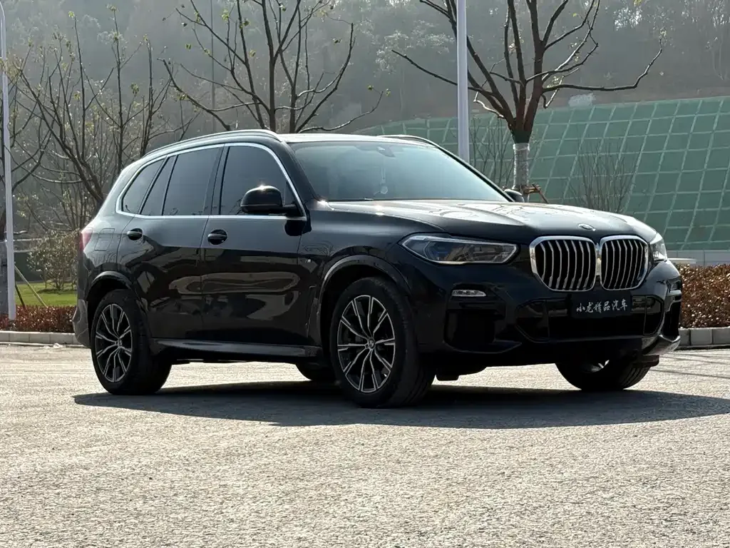 BMW X5 (Import) — фото 9