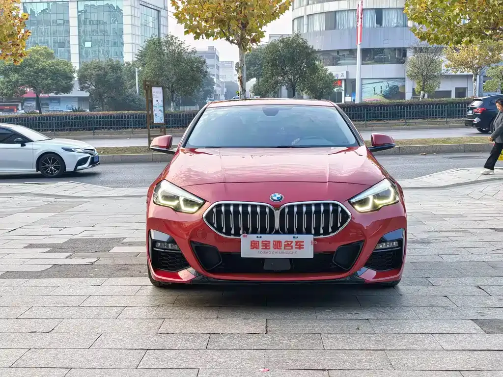 BMW 2 Series (Import) — фото 8