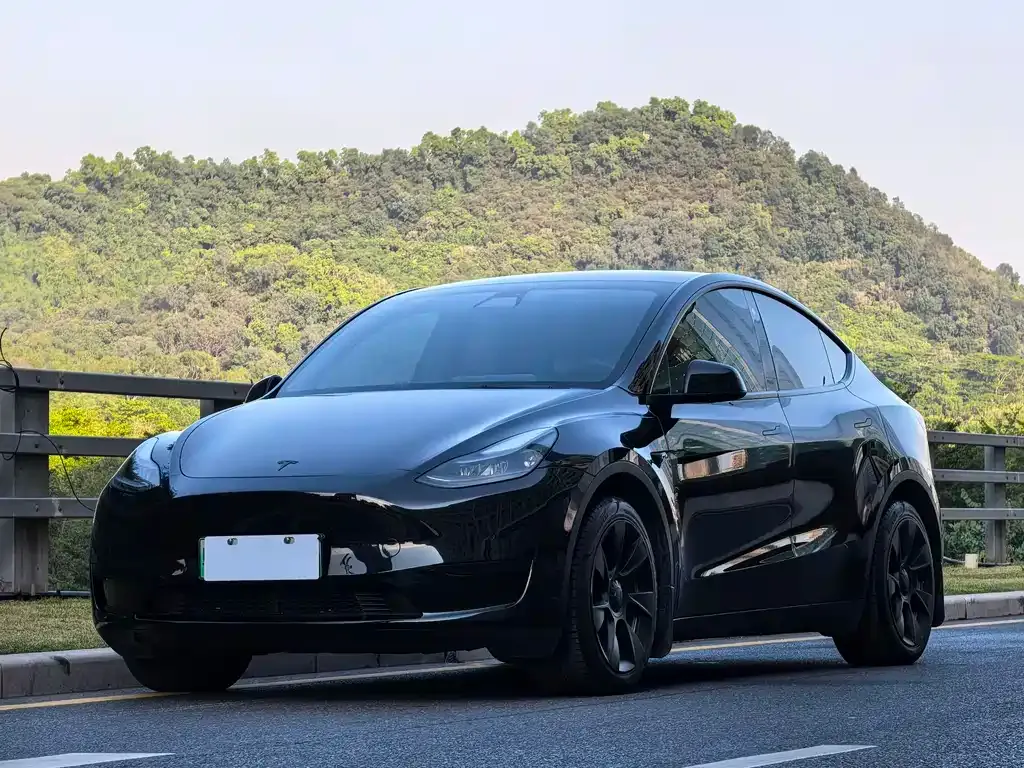 Tesla Model Y — фото 1