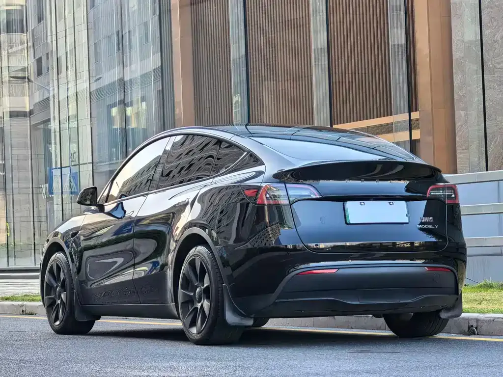 Tesla Model Y — фото 2