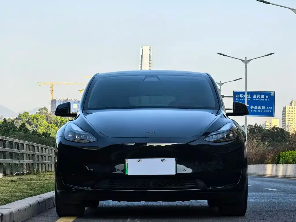 Tesla Model Y — фото 4