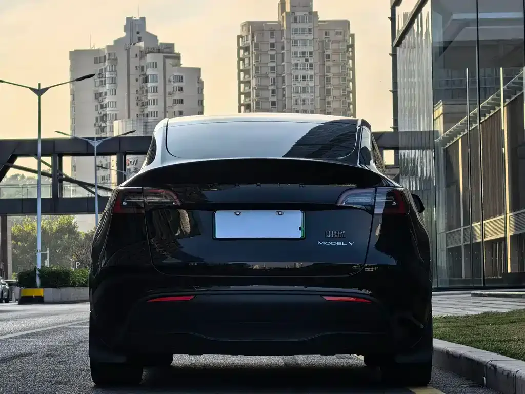 Tesla Model Y — фото 5