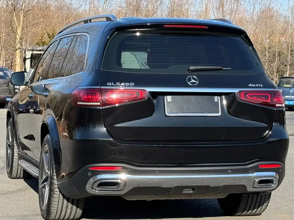 Mercedes-Benz GLS — фото 9