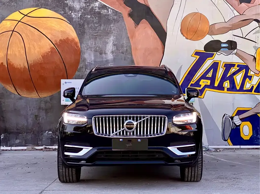 Volvo XC90 — фото 9