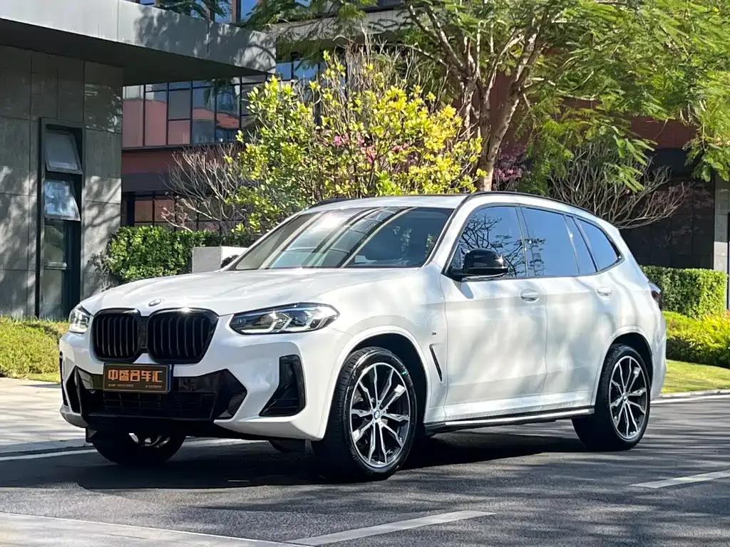 BMW X3 — фото 1