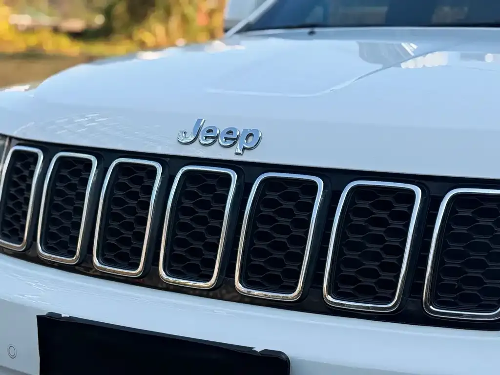 Jeep Grand Cherokee (Import) — фото 4