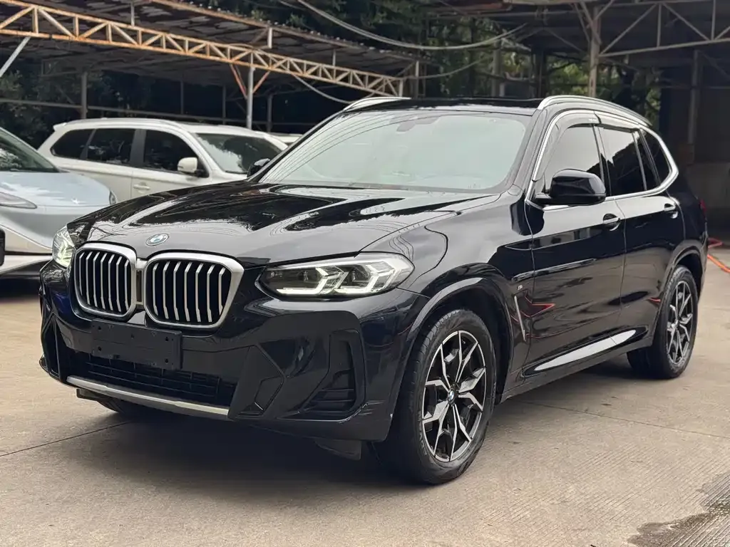 BMW X3 — фото 1
